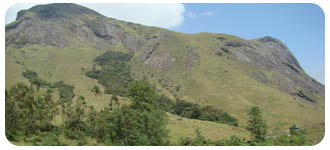 Anamudi